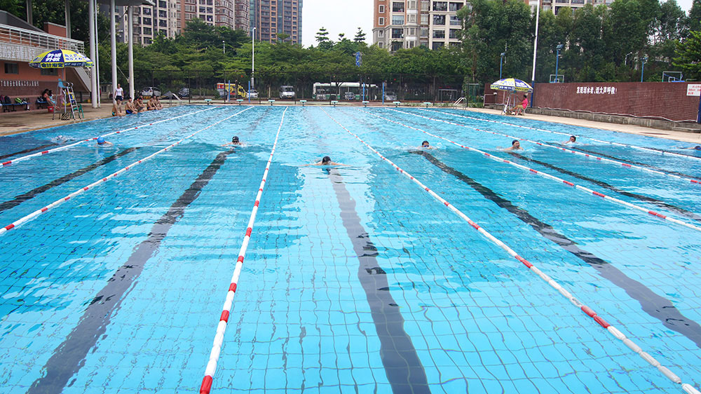 2016游泳比賽