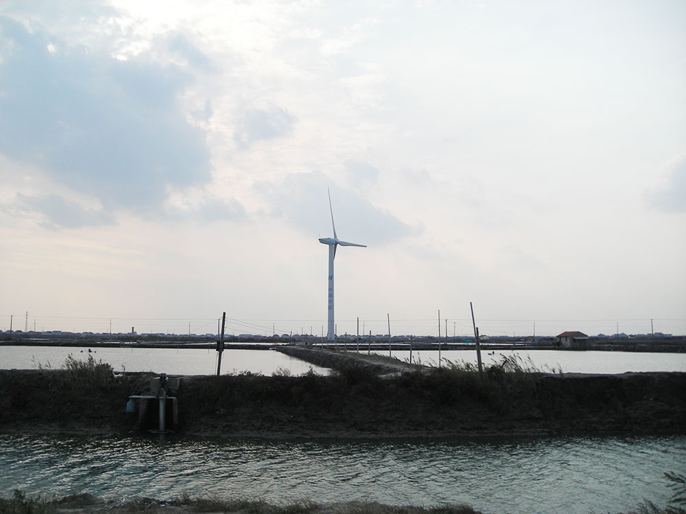 華能啟東風電場